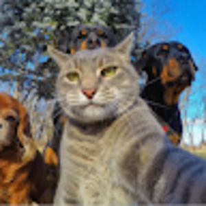 Meet your Posher, Alexander